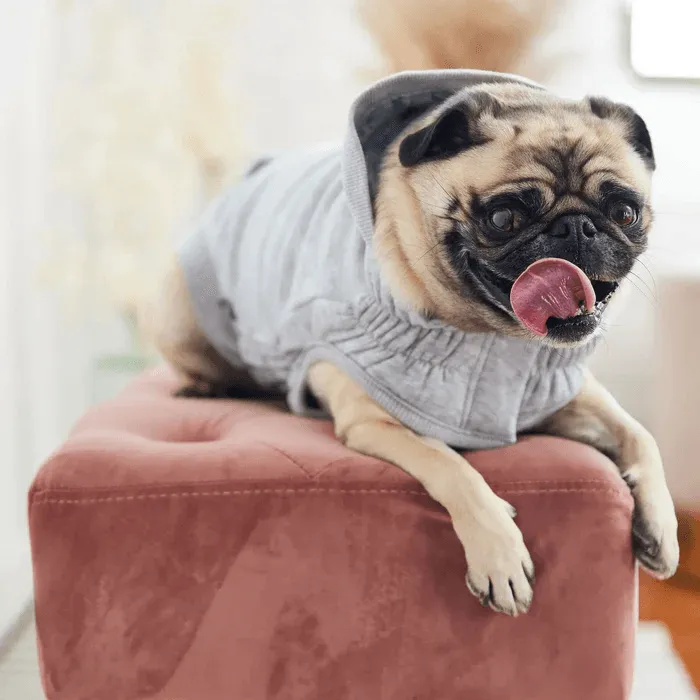 GF Pet Urban Hoodie Heather Grey For Dogs