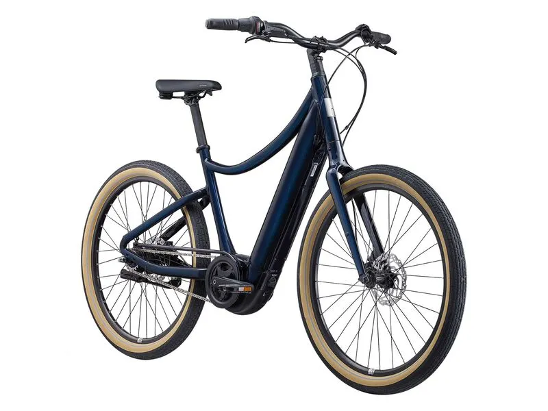 Giant Vida E  GTS Blue