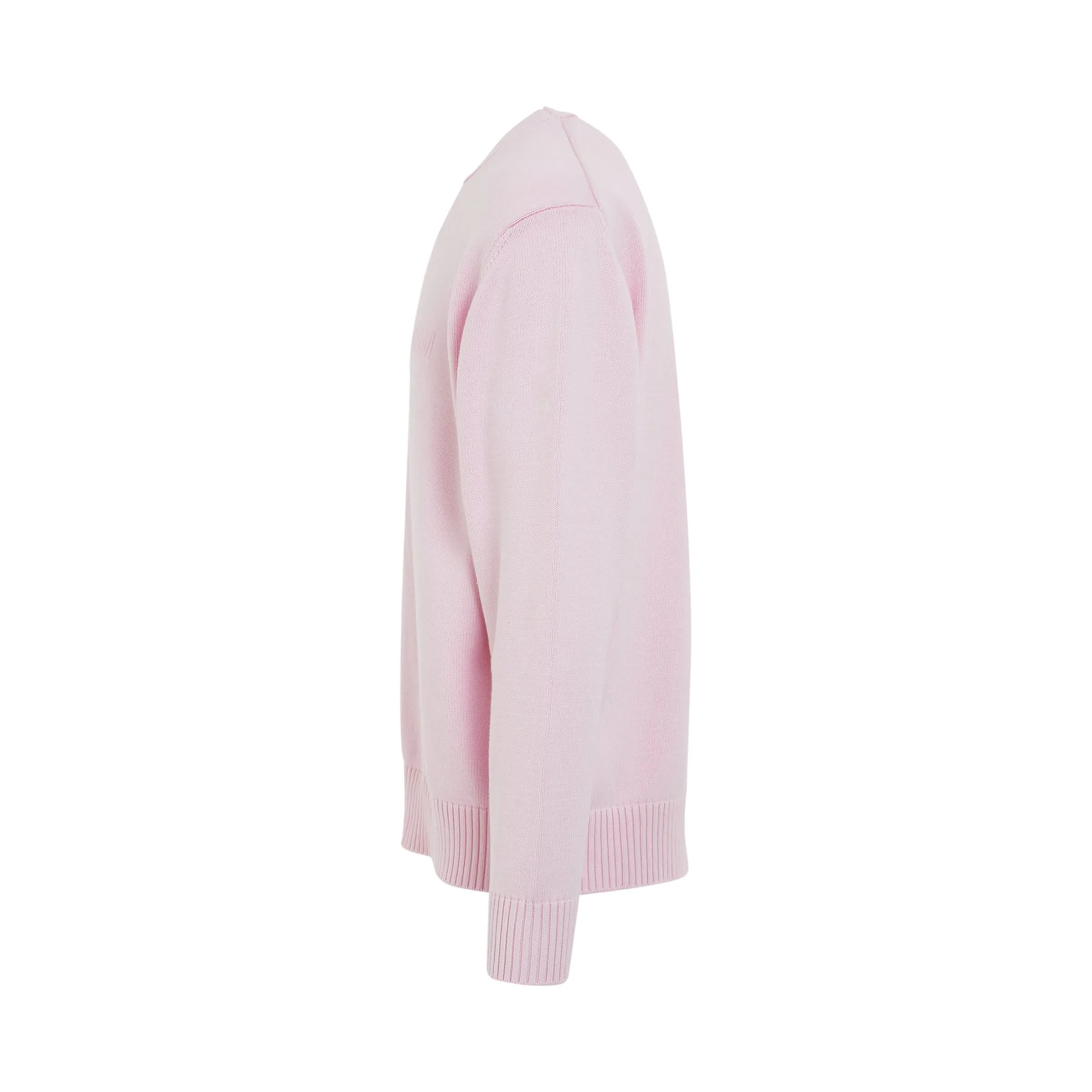 Logo Crewneck Sweater in Soft Pink